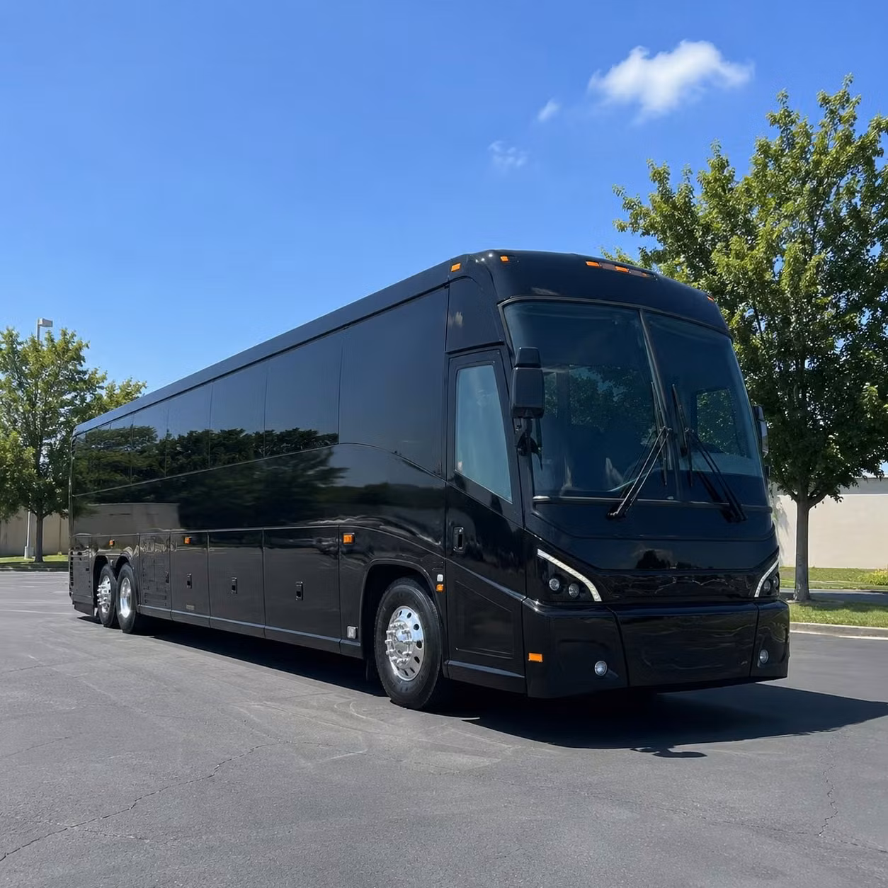 56 passenger charter bus